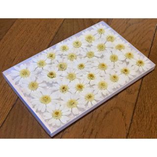 お花屋さんが作った純白マーガレットのドライフラワーお詰め合わせ(ドライフラワー)