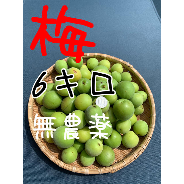 ６キロ無農薬B品 群馬県産 生梅 送料込！梅酒　梅ジュース　梅シロップ 食品/飲料/酒の食品(フルーツ)の商品写真