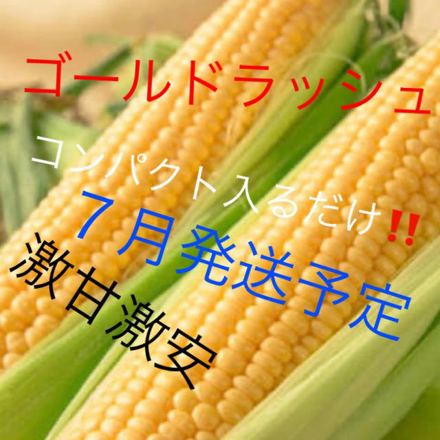 激甘すぎゴールドラッシュとうもろこしコンパクト入るだけ７月中発送予定！ 食品/飲料/酒の食品(野菜)の商品写真