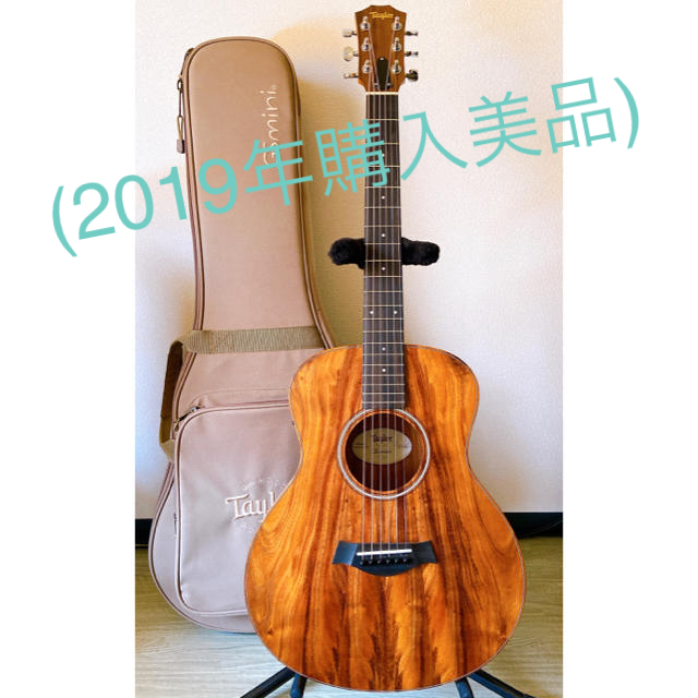 【最終値下げ】taylor GS mini-e KOA   (2019年購入)