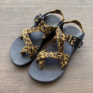 チャコ(Chaco)のchaco レオパード スポーツサンダル 23㎝(サンダル)