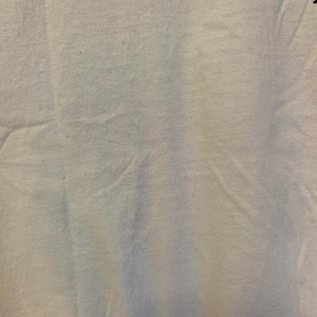 STUSSY(ステューシー)のSTUSSY Tシャツ 白 ハイビスカス レディースのトップス(Tシャツ(半袖/袖なし))の商品写真