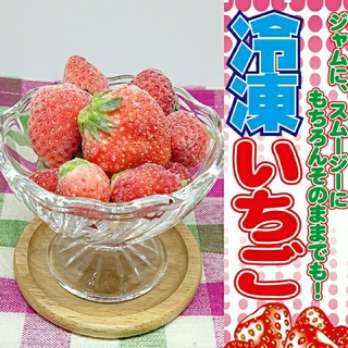 【在庫限り！】いちご農家の冷凍いちご1.8kg 冷凍イチゴ(フルーツ)