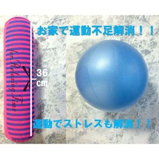 コロナ　対策　（ミニ・バランスボール&骨盤ストレッチクッション）空気入れ針も(トレーニング用品)