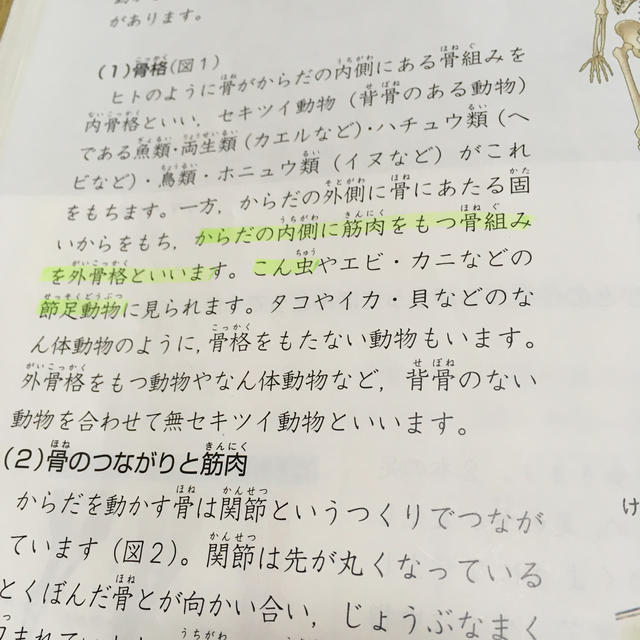 「予習シリーズ 理科 4年下」四谷大塚