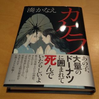 カケラ(文学/小説)