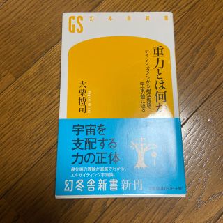 重力とは何か アインシュタインから超弦理論へ、宇宙の謎に迫る(文学/小説)