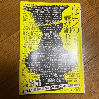 ルビンの壺が割れた(文学/小説)