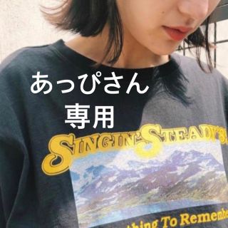 マウジー(moussy)のMOUSSY SS LANDSCAPE Tシャツ ブラウン(Tシャツ/カットソー(半袖/袖なし))