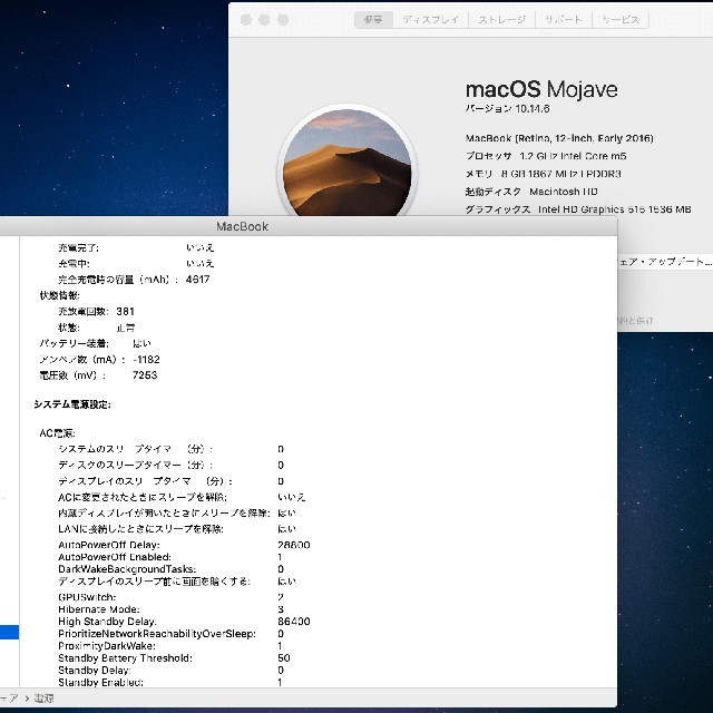 12インチ MacBook (2016) 8Gメモリ 512GB ゴールド 2