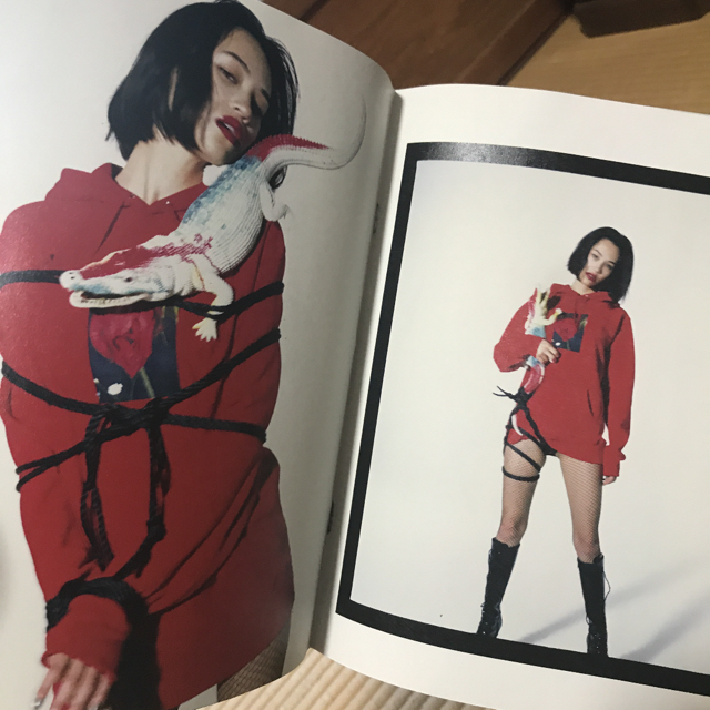 Supreme - 16AW Supreme Araki Zine 荒木経惟 フォトブック 水原 Supreme - 16AW Supreme Araki Zine 荒木経惟 フォトブック 水原