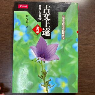 古文上達基礎編読解と演習４５(語学/参考書)