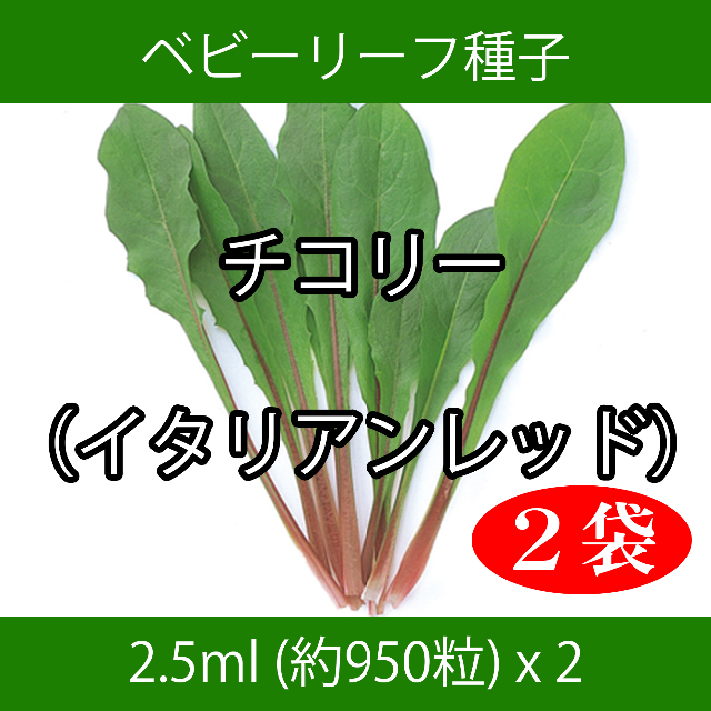 ベビーリーフ種子 B-13 チコリー（イタリアンレッド） 2.5ml x 2袋 食品/飲料/酒の食品(野菜)の商品写真