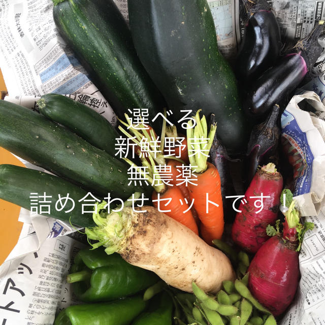 選べる新鮮無農薬野菜セット！ 食品/飲料/酒の食品(野菜)の商品写真