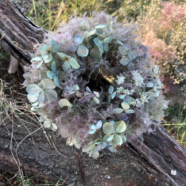 スモークツリーと紫陽花のこんもりナチュラルリース