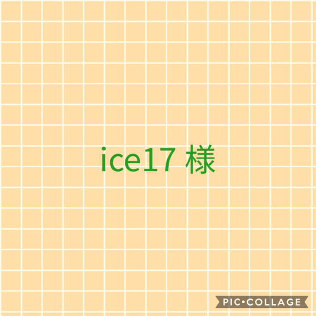 ice 17 様　専用　マスクカバー  ハンドメイドのハンドメイド その他(その他)の商品写真