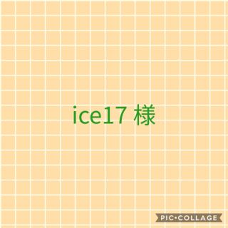 ice 17 様　専用　マスクカバー (その他)