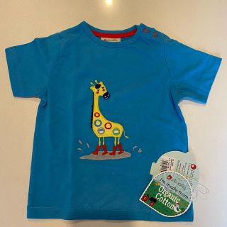 piccalilly Ｔシャツ　サイズ6-12m (Ｔシャツ)