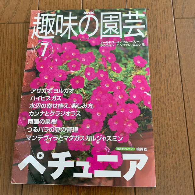 趣味の園芸 エンタメ/ホビーの本(趣味/スポーツ/実用)の商品写真