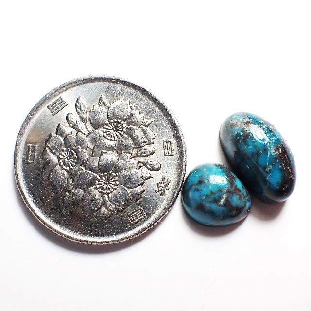 Natural Gem Bisbee Turquoise Cab