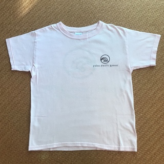 ギルタン(GILDAN)のGILDAN Tシャツ ピンク リゾート パラオ(Tシャツ(半袖/袖なし))