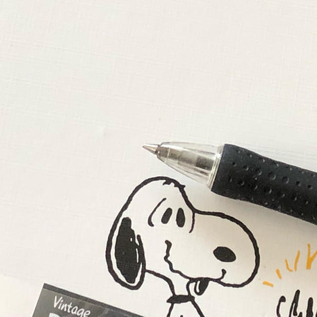 Snoopy スヌーピー アルバム バースデー 誕生日 出産 旅行 卒業 記念 スクラップの通販 By Okameki S Shop スヌーピー ならラクマ