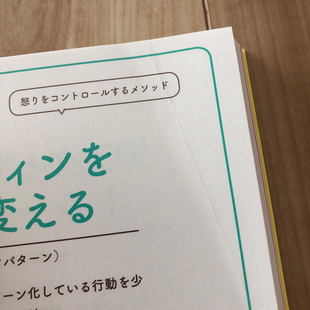 イラストでわかる怒らずのばす育て方 エンタメ/ホビーの雑誌(結婚/出産/子育て)の商品写真