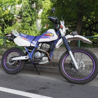 ヤマハ(ヤマハ)のTT250R  17906キロ　美車(車体)