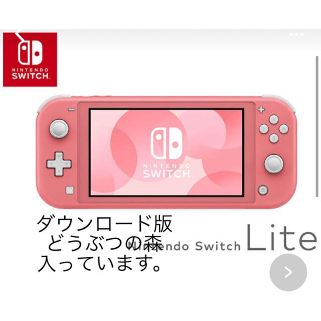 Nintendo Switch NINTENDO SWITCH LITE コーラ