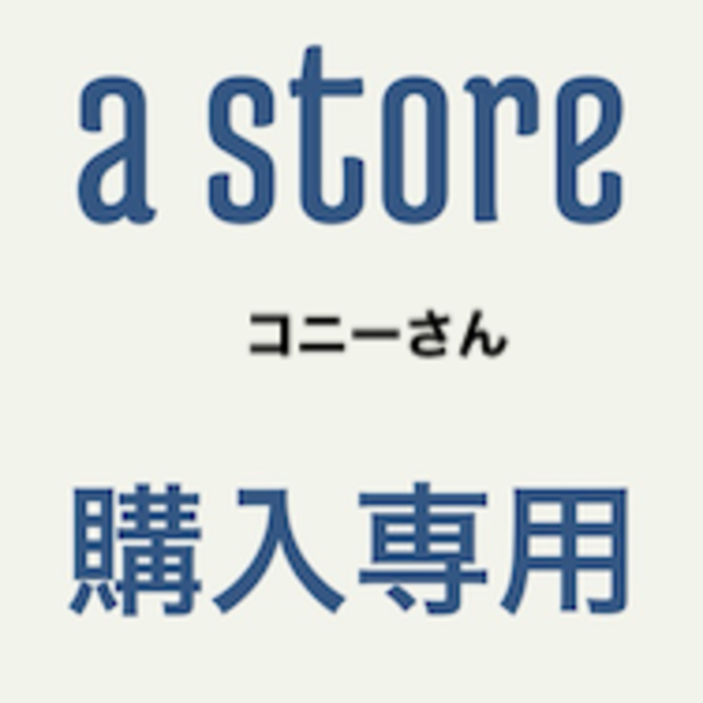 専用コニーさん その他のその他(その他)の商品写真