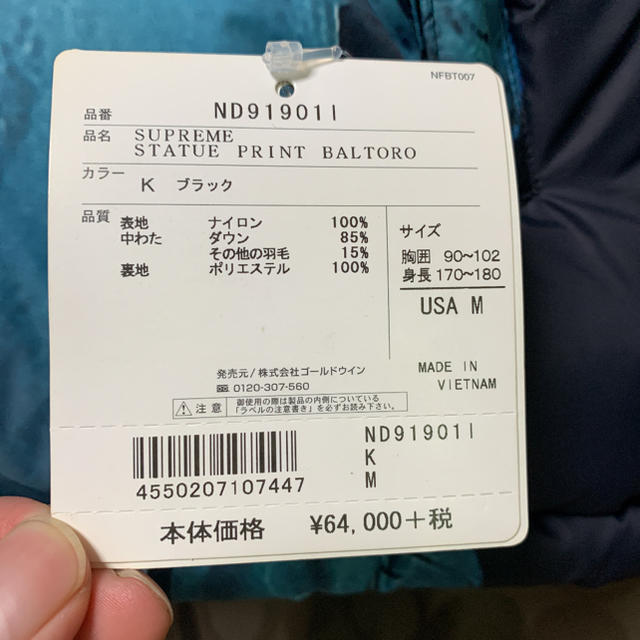 Supreme(シュプリーム)のsupreme north face 女神 バルトロ メンズのジャケット/アウター(ダウンジャケット)の商品写真