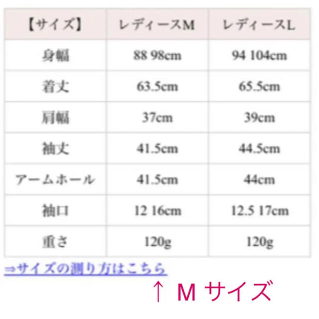 PATY 山ガール　インナー　カットソー　レイヤード　七分袖　ボーダー レディースのトップス(カットソー(長袖/七分))の商品写真