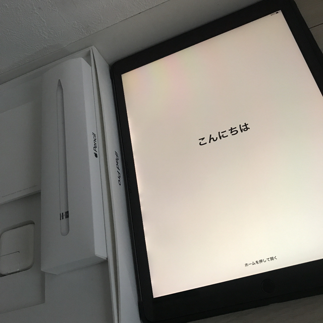 製品保証 IPAD PRO 256GB 12.9 第2世代+付属品+Applepencil