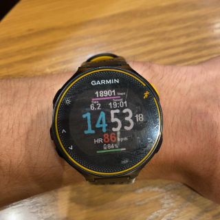 ガーミン(GARMIN)の専用(ランニング/ジョギング)