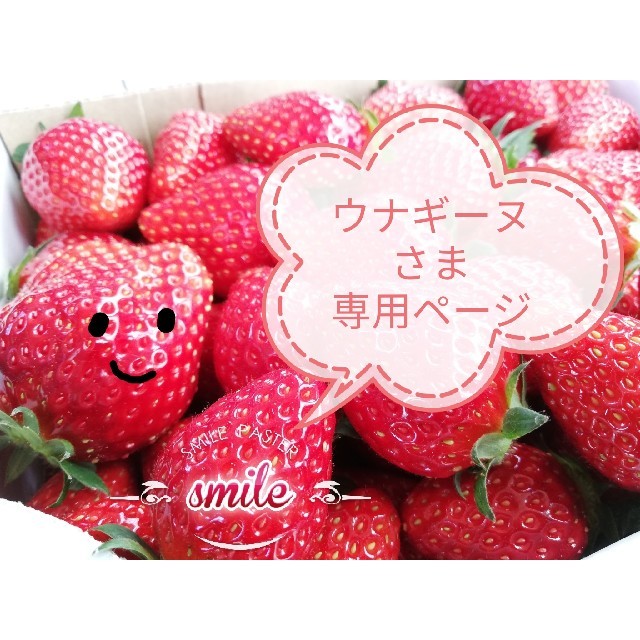 いちごみるく 専用ページ - その他 いちごみるく 専用ページ - その他