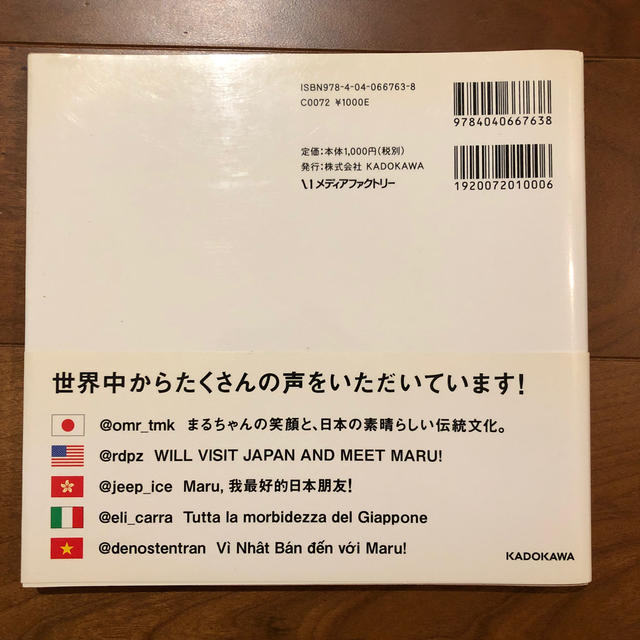 柴犬まる エンタメ/ホビーの本(趣味/スポーツ/実用)の商品写真