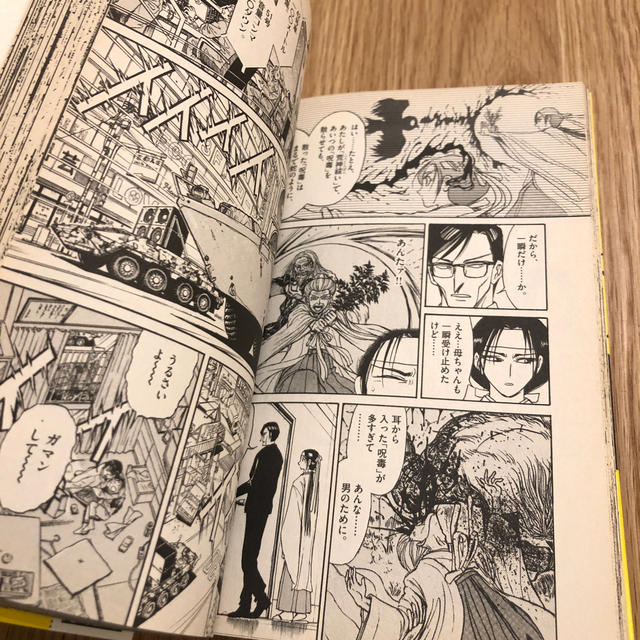 邪眼は月輪に飛ぶ エンタメ/ホビーの漫画(青年漫画)の商品写真