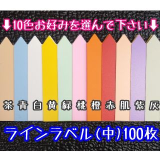 ◎100枚◎(中)選べるカラー ラインラベル 園芸ラベル カラーラベル(その他)