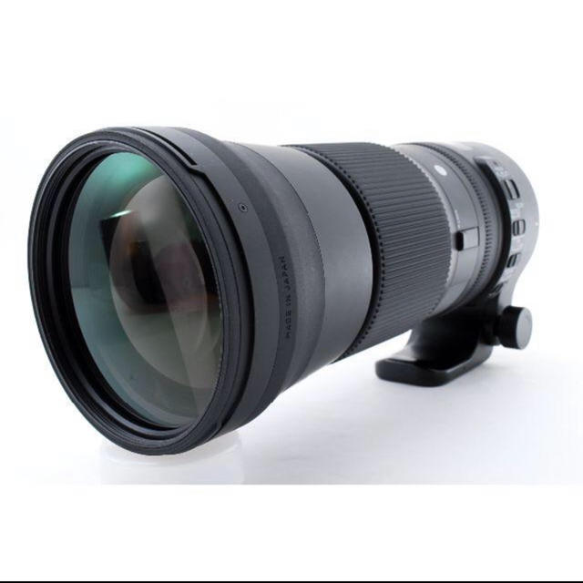 シグマ sigma 150-600mm ニコン