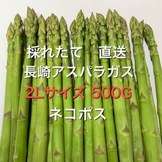 ネコポス　長崎産アスパラガス　2Lサイズ 500G(野菜)