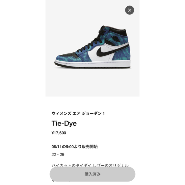 NIKE(ナイキ)のNIKE AIRJORDAN1  Tie-Dye aj1 メンズの靴/シューズ(スニーカー)の商品写真