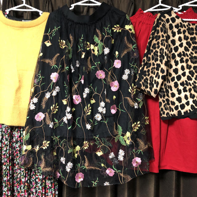 H&M(エイチアンドエム)のH&Mチュールスカート　刺繍 レディースのスカート(ロングスカート)の商品写真