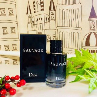 クリスチャンディオール(Christian Dior)のクリスチャン ディオール ソバージュ  EDT SP 60ml(香水(男性用))