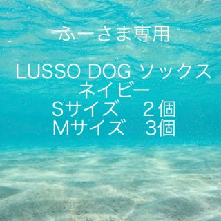 ステューシー(STUSSY)のふー様専用☆LUSSO DOG ソックス　ネイビー　S2個&M3個　セット(ソックス)