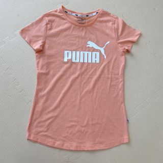 プーマ(PUMA)の新品未使用(Tシャツ(半袖/袖なし))