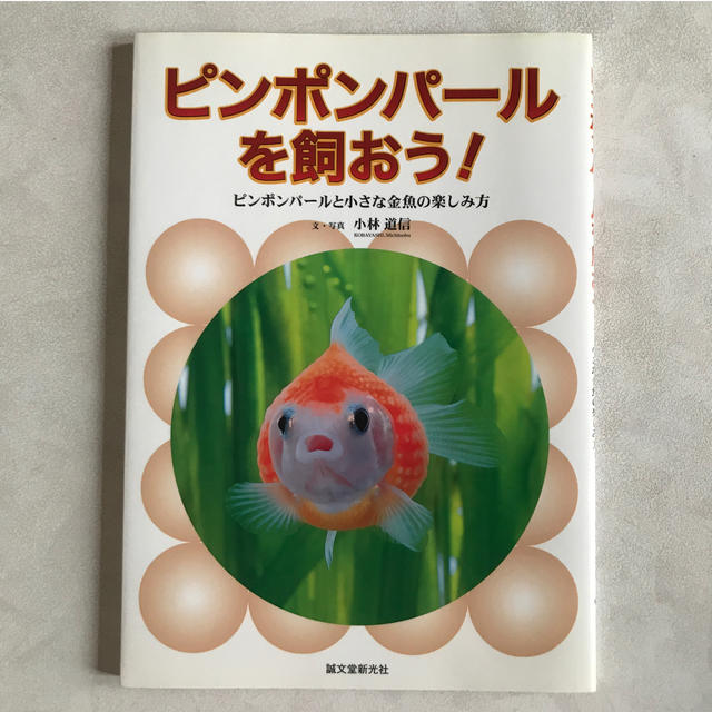 ピンポンパ－ルを飼おう！ ピンポンパ－ルと小さな金魚の楽しみ方 エンタメ/ホビーの本(住まい/暮らし/子育て)の商品写真