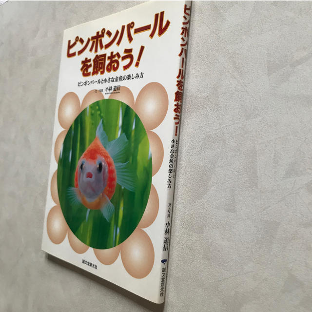 ピンポンパ－ルを飼おう！ ピンポンパ－ルと小さな金魚の楽しみ方 エンタメ/ホビーの本(住まい/暮らし/子育て)の商品写真