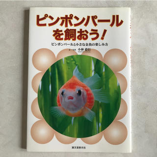 ピンポンパ－ルを飼おう！ ピンポンパ－ルと小さな金魚の楽しみ方(住まい/暮らし/子育て)