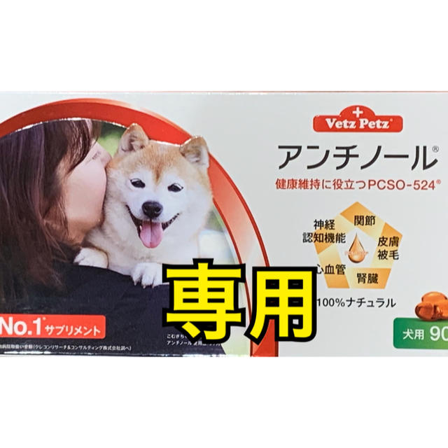 アンチノール 90粒アンチノール | myglobaltax.com アンチノール 90粒アンチノール | myglobaltax.com