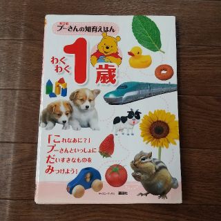 新訂版 プーさんの知育えほん わくわく1歳 (ディズニーブックス)(絵本/児童書)